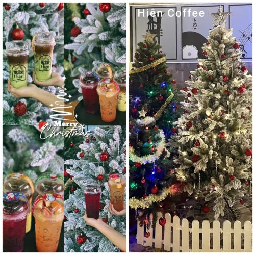 Giáng Sinh Gõ Cửa - Hà Tiên Rực Rỡ Sắc Màu Noel